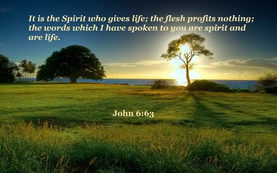 “The words which I have spoken are spirit and they are life.” (John 6:63)